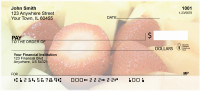 Fresh Fruits Personal Checks | ZFOD-38