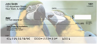 Love Birds In The Tropics Personal Checks | ZLOV-04