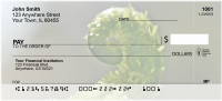Ferns Personal Checks | ZNAT-42