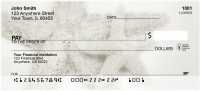 Shells In Taupes and Sage Personal Checks | ZSCE-30