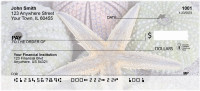 Seashells By The Seashore Personal Checks | ZSCE-63