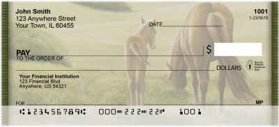 Colt In Springtime | BCC-24
