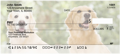Adorable Golden Retrievers | BCE-71
