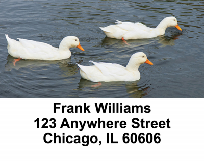 Ducks Address Labels | LBANI-30