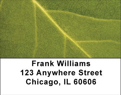 Falling Leaves Examined Address Labels | LBBBA-23
