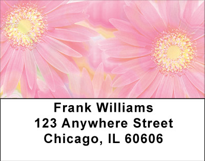 Pink Dreams Address Labels | LBBBA-32