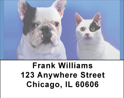 Share The Spotlight Address Labels | LBBBA-77