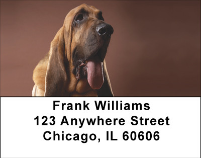 Bloodhound Portrait Address Labels | LBBBA-85