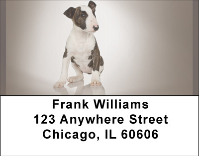 Adorable Bull Terriers Address Labels | LBBBA-89