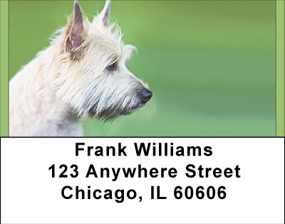 Cairn Terriers Address Labels | LBBBA-91