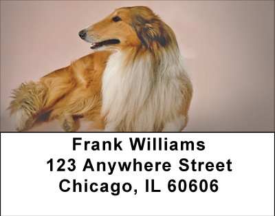 Cuddly Collie Address Labels | LBBBA-93