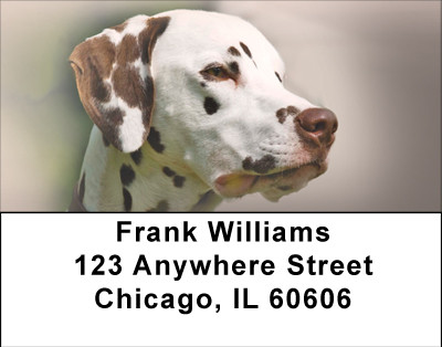 Dandy Dalmatians Address Labels | LBBBA-94