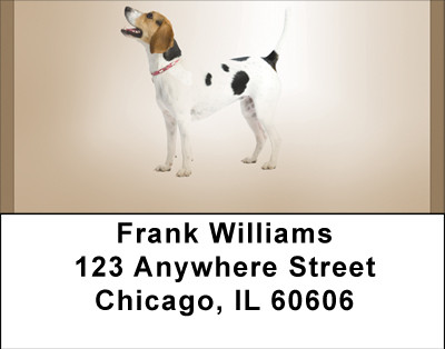 English Foxhound Address Labels | LBBBA-95