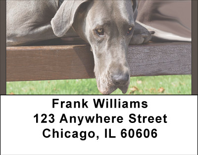 Great Danes Address Labels | LBBBA-98