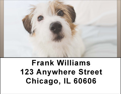 Bed Bath and WAY Beyond Address Labels | LBBBB-03