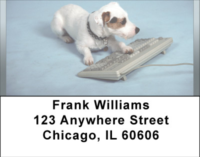 Old Dog New Tricks Address Labels | LBBBB-05