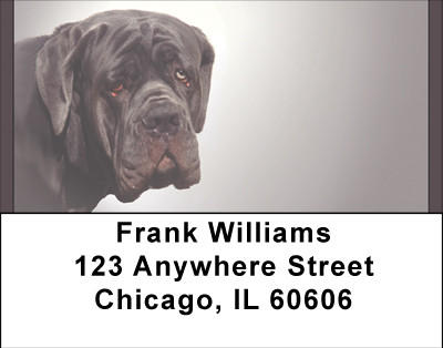 Massive Mastiff Address Labels | LBBBB-14