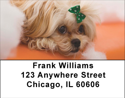 Pekingese Fun Address Labels | LBBBB-18