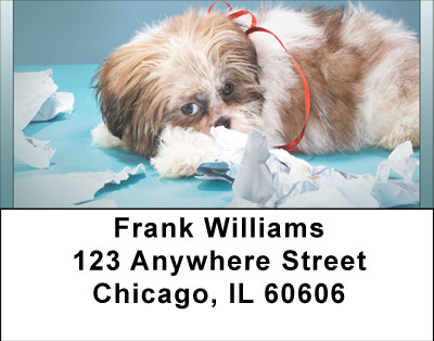 Smile Makers Address Labels | LBBBB-27