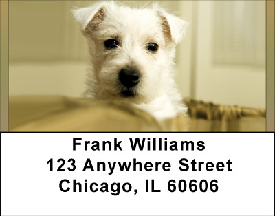 West Highland Address Labels | LBBBB-28