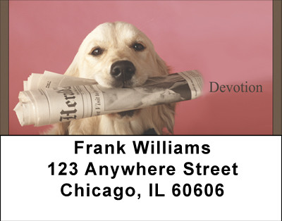 Yellow Labrador Devotion Address Labels | LBBBB-29