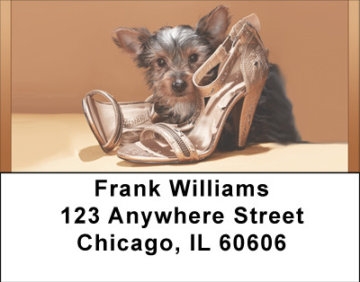 Yorkshire Trouble Address Labels | LBBBB-32