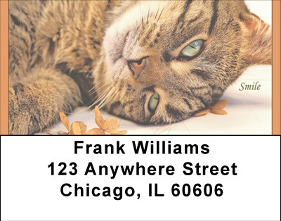 Smile Address Labels | LBBBC-75