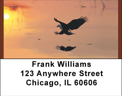 Eagle Reflections Address Labels | LBBBD-73
