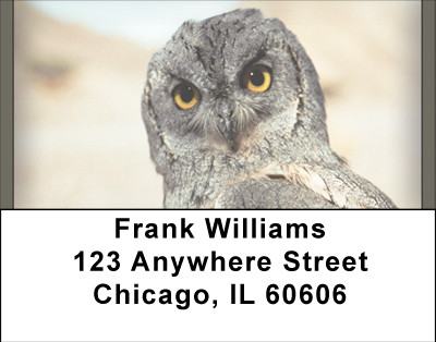 Be Wise Address Labels | LBBBD-76