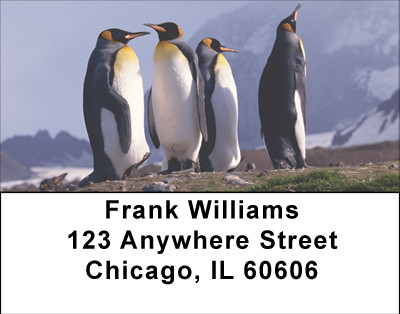 Families Of Penguin Address Labels | LBBBD-77
