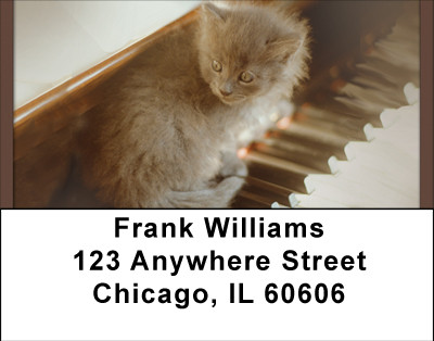 Kittens On The Keys Address Labels | LBBBD-87
