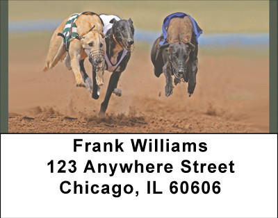 Greyhounds At Work Address Labels | LBBBD-94