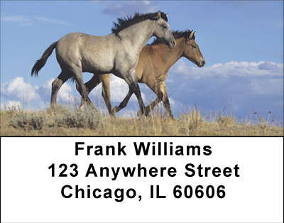 Wild Spanish Mustang Address Labels | LBBBE-12