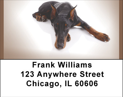 Doberman Portraits Address Labels | LBBBH-89