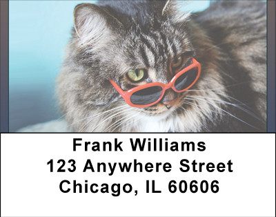 Gotta Wear Shades Address Labels | LBBBI-11