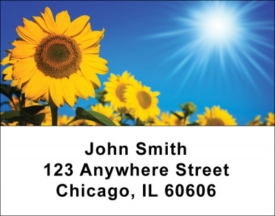 Sunflowers Address Labels | LBNAT-08