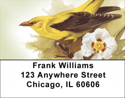 Feathered Friends Address Labels | LBQBA-38