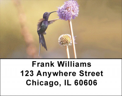 Hummingbirds In Garden Address Labels | LBQBA-42