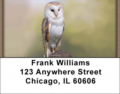 Barn Owls Address Labels | LBQBA-48