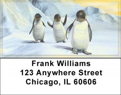 Penguin Sunrise Address Labels | LBQBA-54