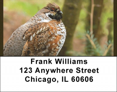 Quail Time Address Labels | LBQBA-57