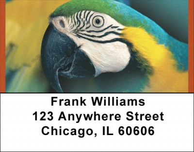 Tropical Birds Address Labels | LBQBA-65