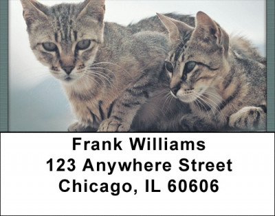 Bengals Address Labels | LBQBA-83