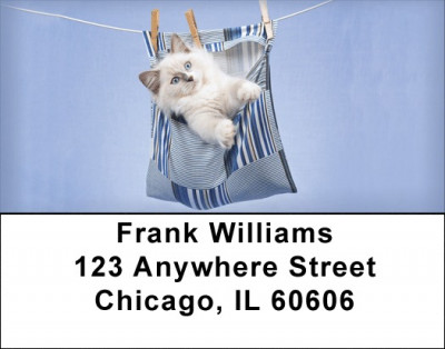 Hanging Out Address Labels | LBQBA-90