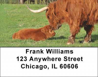 Highland Cow With Newborn Calf Address Labels | LBQBB-13