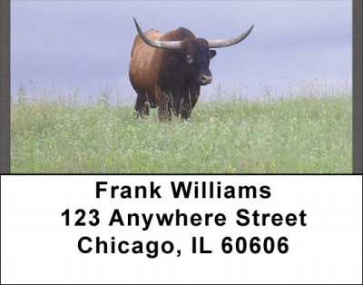 Longhorns Address Labels | LBQBB-14