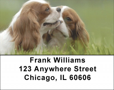 Cavalier St. Charles Address Labels | LBQBB-37