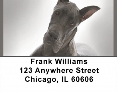 Great Dane Address Labels | LBQBB-60