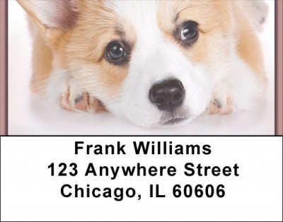 Pembroke Welsh Corgi Address Labels | LBQBB-79
