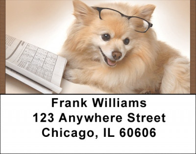 Smart Pomeranian Pooch Address Labels | LBQBB-84